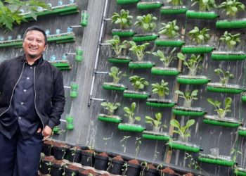 Sulap-tembok-rumah-dengan-tanaman-sayuran-Masyurponic-foto-Cakralinecom