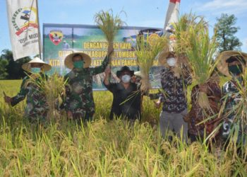 Usai-Panen-Raya-Danrem-didampingi-Dandim-1620-Loteng-meninjau-gudang-bulog-mengecek-kesediaan-beras-di-gudang-bulog-sekol-lombok-tengah