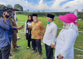 Komisi-II-Leli-Arni-Yunisra-Syahiran-dan-Nurfirmanwansyah-menyatakan-dukungannya-terhadap-pengembangan-peternakan-sapi-UPTD-Ternak-Ruminansia-Air-Runding.-foto-Ist.