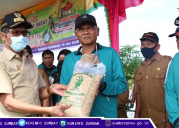 Gubernur-Sumbar-Percepatan-Tanam-Padi-Antisipasi-Krisis-Pangan-Kominfo
