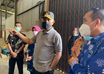 Tinjau-Rice-Mill-di-Lunang-Mahyeldi.-Potensial-Membangkitkan-Bareh-Rajo-Pasisia-foto-Ist