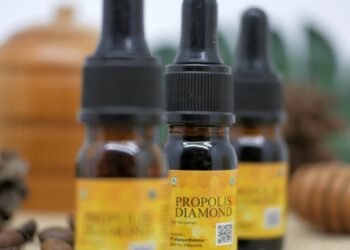 Propolis-menjadi-pilihan-tepat-untuk-menjaga-imun-tubuh-ft-Ist
